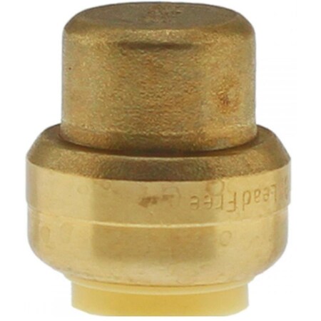 Homewardbound 1 in. Push Fit Cap HO3347880